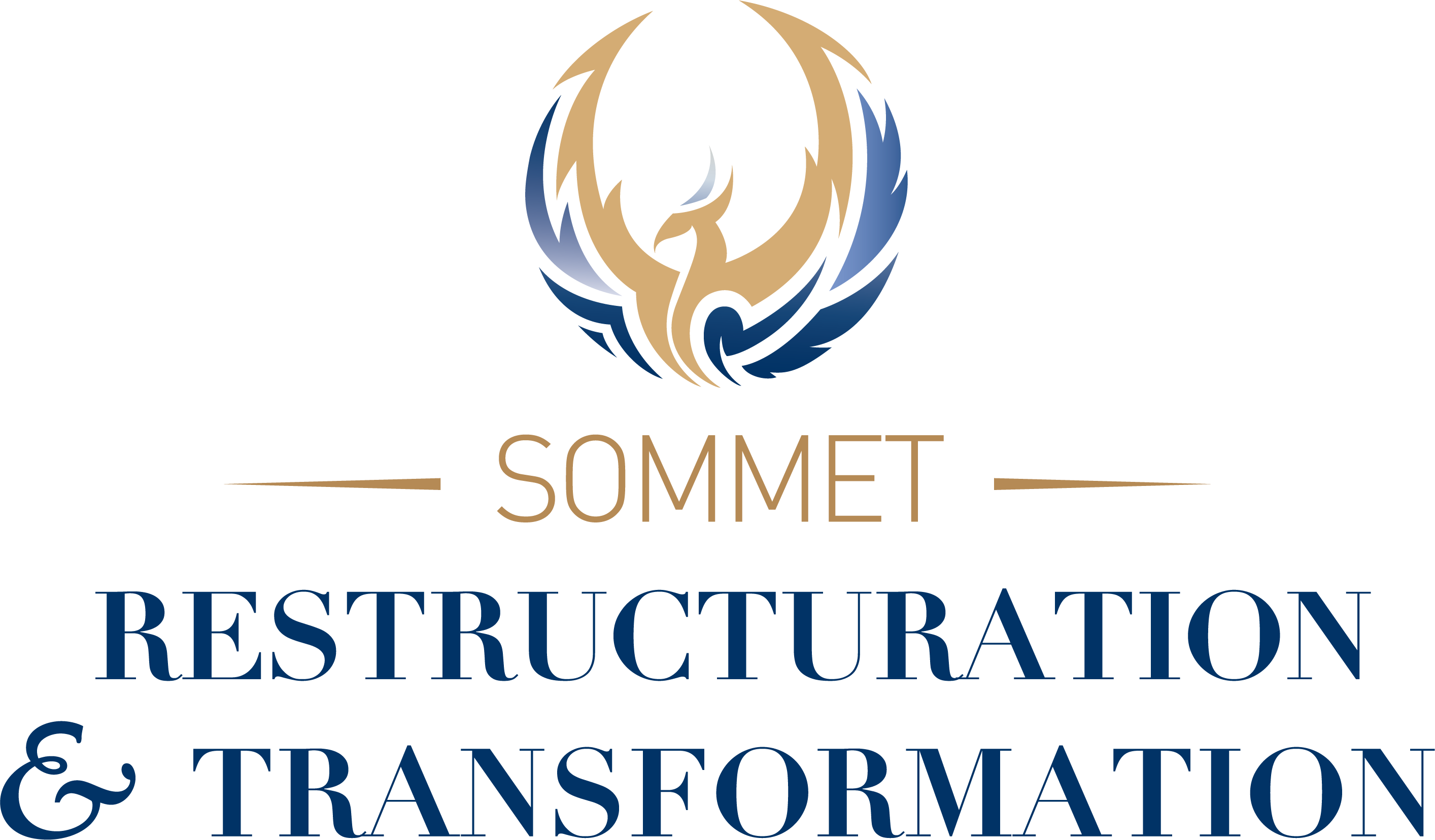 SOMMET RESTRUCTURATION & TRANSFORMATION